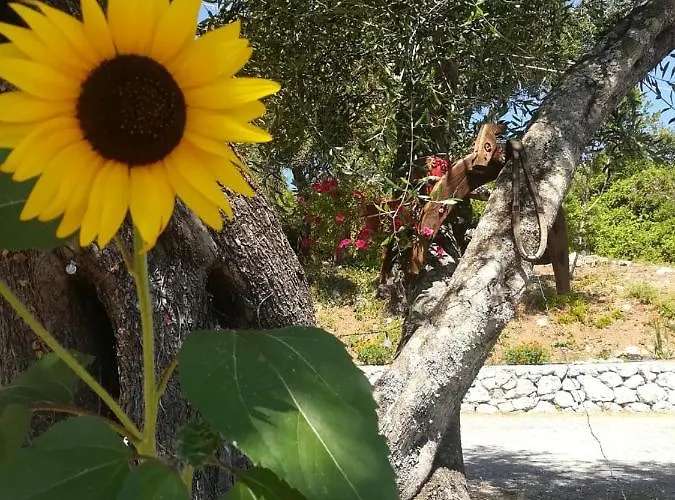 Appartement Blue & , - Corfu 1&2-3&4 *
