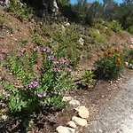 Blue & , - Corfu 1&2-3&4 * Dassia (Corfu)