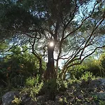 Apartamento Blue & , - Corfu 1&2-3&4