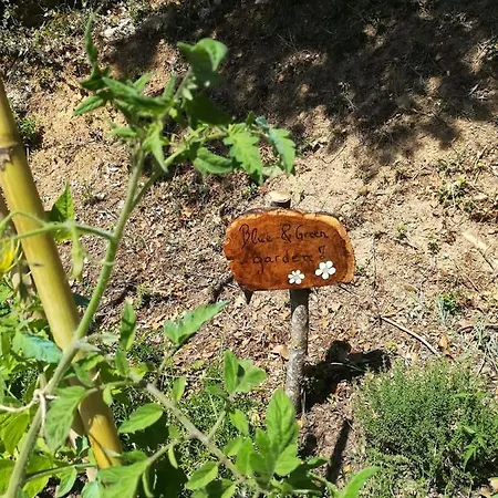 Διαμέρισμα Blue & , - Corfu 1&2-3&4 Δασιά