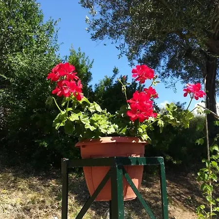 Blue & , - Corfu 1&2-3&4 *