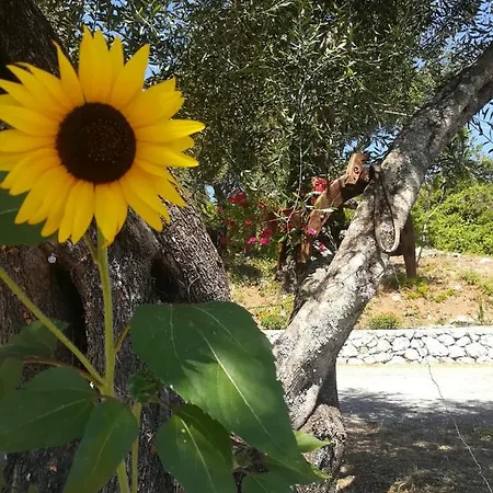 Διαμέρισμα Blue & , - Corfu 1&2-3&4 *