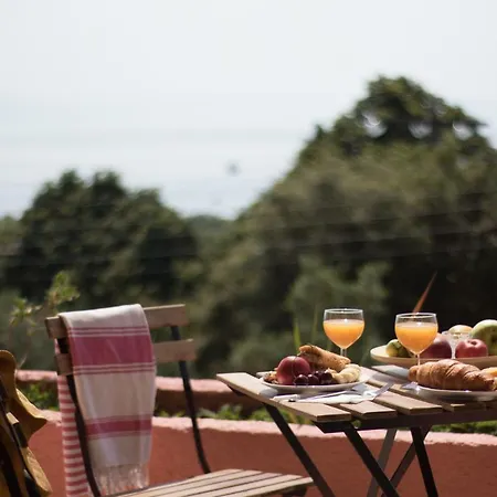 Blue & , - Corfu 1&2-3&4 * Dassia (Corfu)