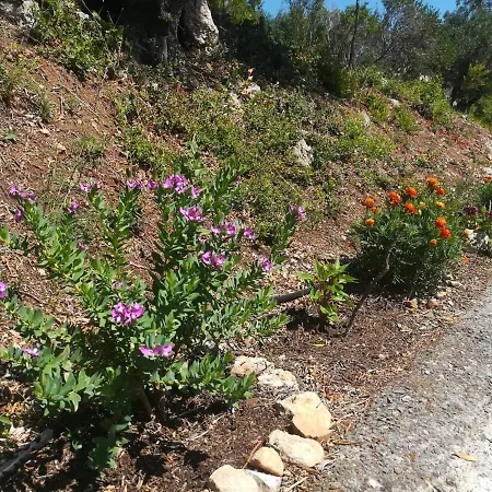 Blue & , - Corfu 1&2-3&4 * Dassiá