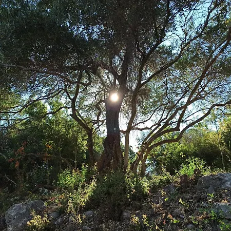 Apartmán Blue & , - Corfu 1&2-3&4