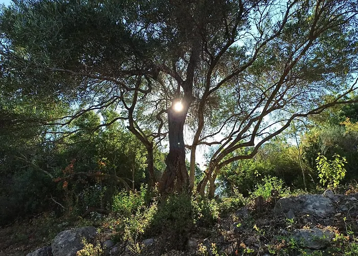 Apartament Blue & , - Corfu 1&2-3&4